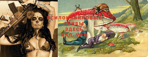 Альфа ПВП Володарск