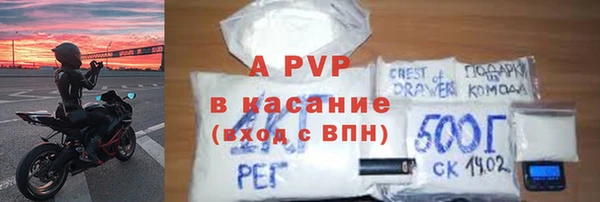 СК Волоколамск