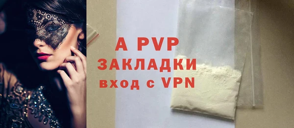 СК Волоколамск