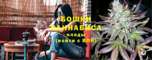 СК Волоколамск