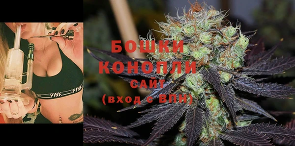 СК Волоколамск