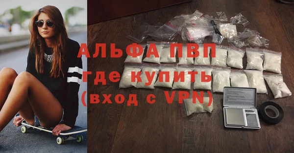 СК Волоколамск