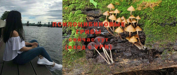 Альфа ПВП Володарск
