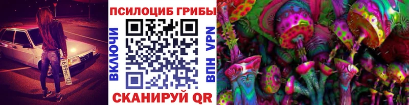 Галлюциногенные грибы Cubensis  Владикавказ 