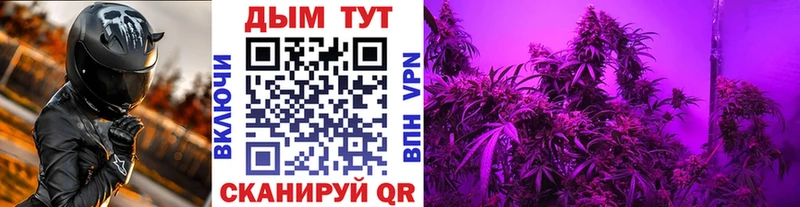 Конопля семена  Владикавказ 